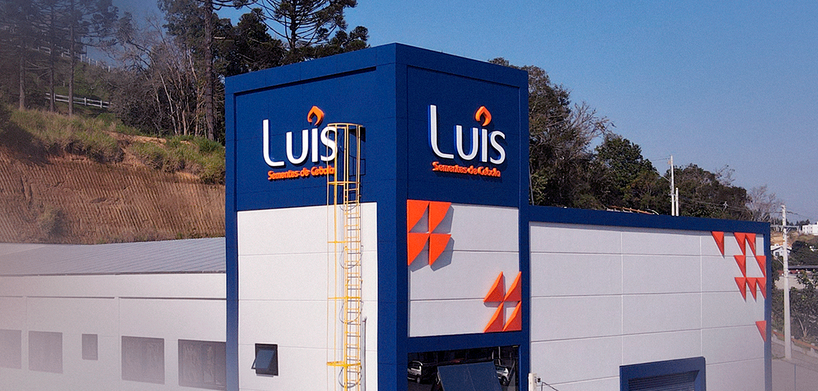 Luís Sementes de Cebola